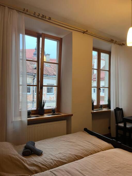 Vilnius Old Town Coziness Apartment Екстериор снимка